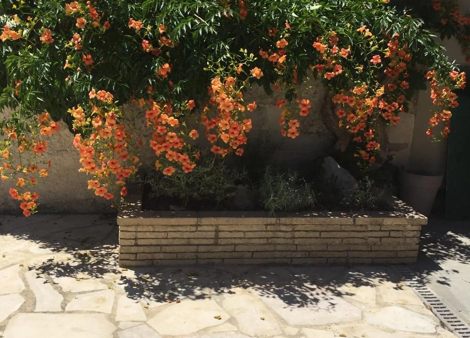 Provencal Countryside Mas: Poolside Retreat near Luberon & Alpilles Villa Senas Holiday home